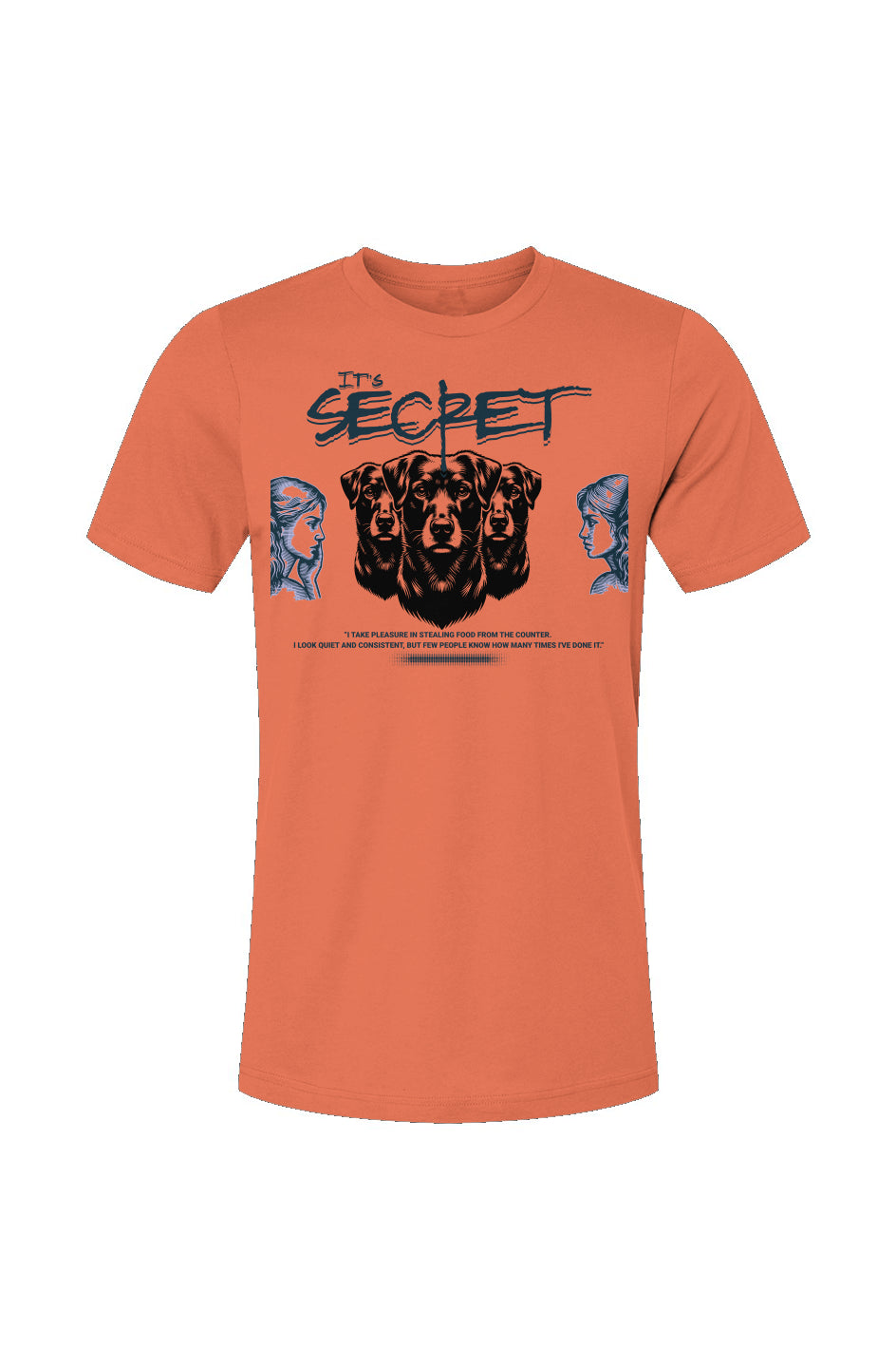 Unisex Jersey T-Shirt-Secret