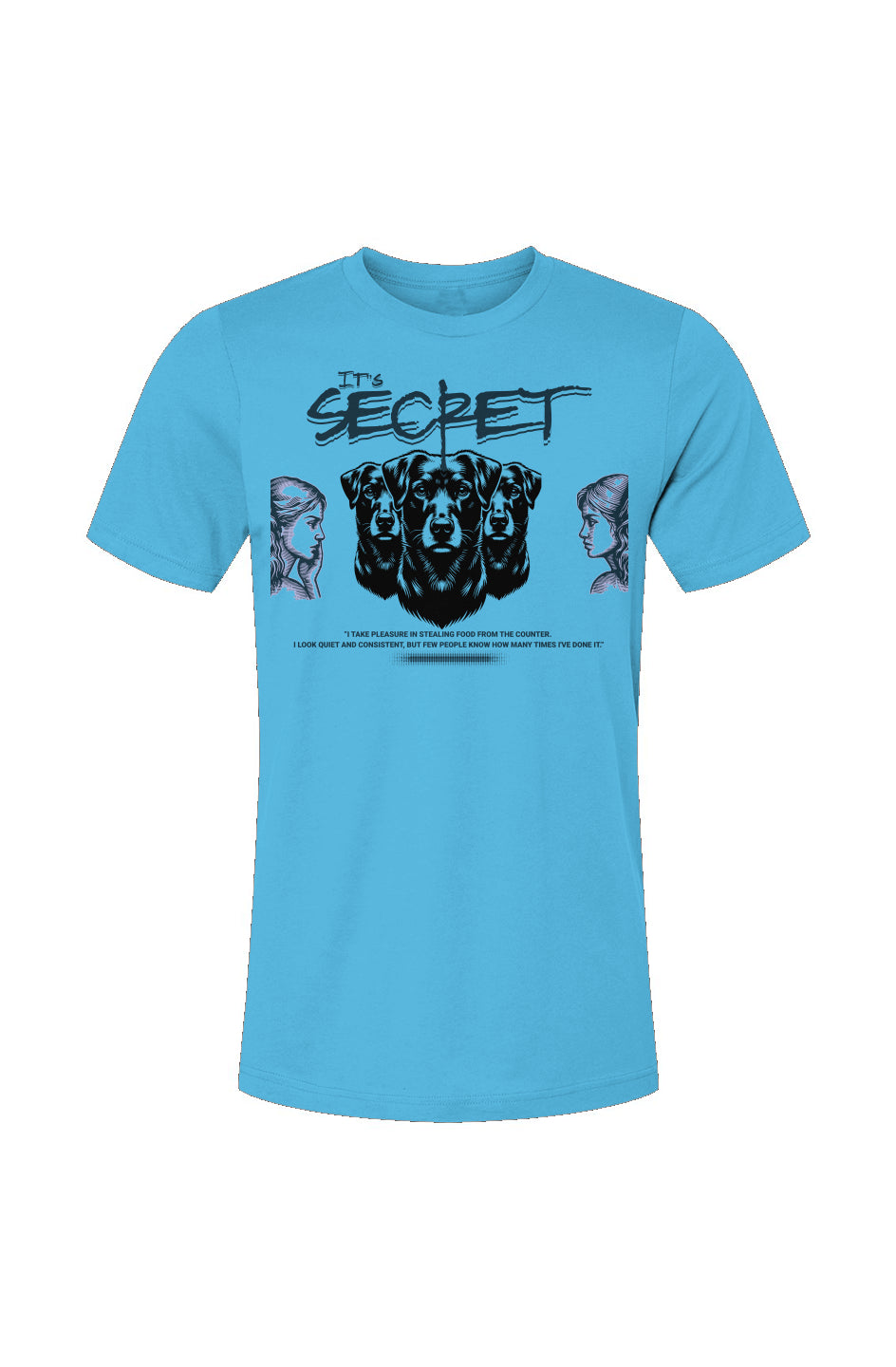 Unisex Jersey T-Shirt-Secrets